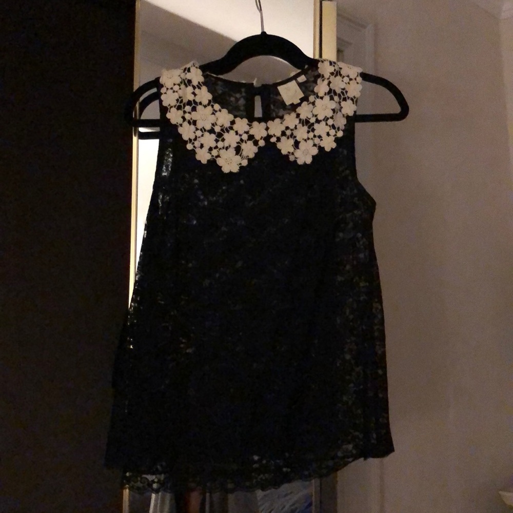 Sheer lace feminine top